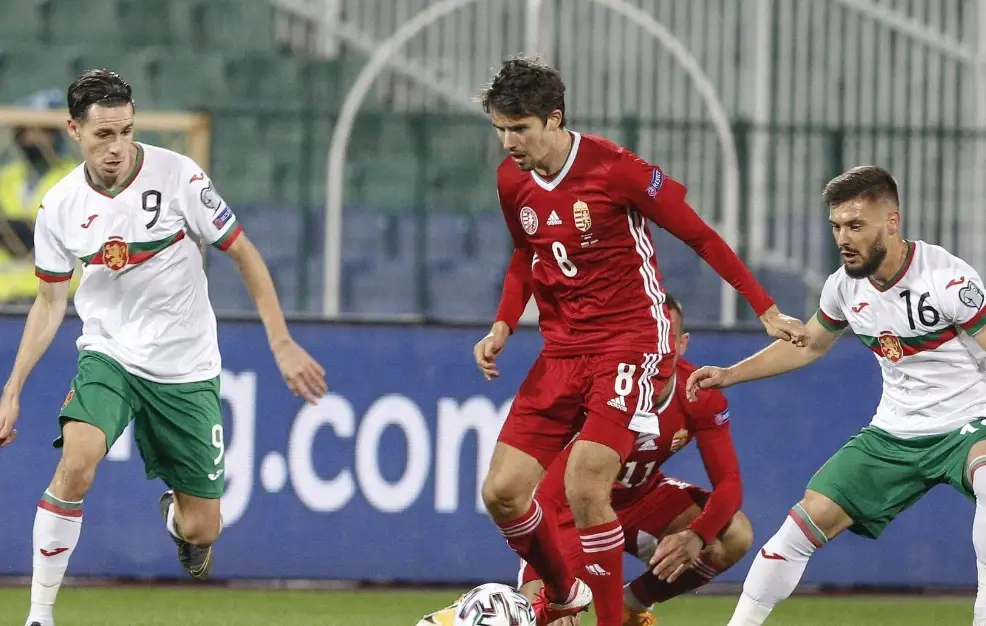 开云体育入口-包含欧预赛保加利亚主场大获全胜，小组出线前景一片暗淡的词条